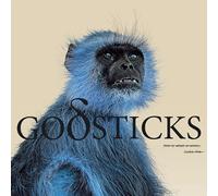Godsticks - This Is What A Winner Looks Like