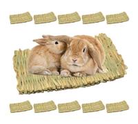 GOEDCH 10 alfombrillas de hierba para animales pequeños: 28 × 20 cm, juguete para masticar animales, alfombra de hierba de conejo, alfombra de hierba natural tejida a mano segura, duradera y segura