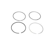 Goetze Engine 08-427300-00 Bloque de Motor