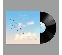 Gogo Penguin - Everything Is going to be Okay [Vinilo]