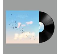 Gogo Penguin - Everything Is going to be Okay [Vinilo]