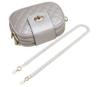 Gogogmee Correa de Hombro Transparente de Acrílico para Bolso de Mujer Dos Hebillas Metálicas, Decoración y Reemplazo Práctico para Bandoleras