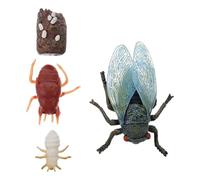 Gogogmee Modelo de Crecimiento de Cigarra 4 Piezas, Juguete Educativo, Material Plástico Resistente, Conjunto de Modelos del Ciclo de Evolución de Cigarras, Adecuado para Aprendizaje