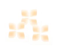 Gogogmee Pegatinas Invisibles de Silicona para Orejas, Corrector Estético Soporte Transparente 12 Unidades, Almohadillas para Pendientes y Entrenamiento Auditivo, Adecuado para Orejas