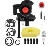 Gogostern Carbu - Kit carburador para desbrozadora Briggs Stratton 499809 498809A 494406 con filtro de aire 698369, membrana y juntas 495770, muelle regulador 691859 kit carburador 795477