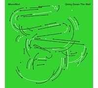 Going Down The Well / MoonMot (Vinyle LP) [Vinilo]