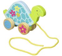 GOKI 54914 Tortoise Pull-Along Toy, Mixed (Importación USA)