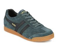 Gola Zapatillas HARRIER in Verde 43