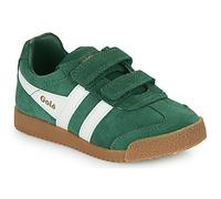 Gola Zapatillas HARRIER VELCRO in Verde 35
