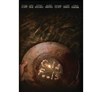 Gold Fools [USA] [DVD]