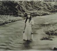 Gold Light - Shadows In The Shallows