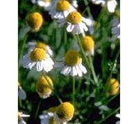 Gold nutrition Relaxsol gotas 100ml. 1 Unidad 300 g