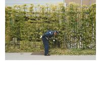 GOLD PANDA - GOOD LUCK AND DO YOUR BEST (LIGHT GREEN VINYL) [Vinilo]