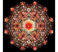 Gold Panda - Half of Where You Live [Vinilo]