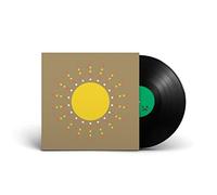 GOLD PANDA - THE WORK [Vinilo]