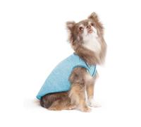 Gold Paw Sun Shield Dog Tee - Camiseta para caninos - Protección UV, alivio de la ansiedad de mascotas, cuidado de heridas - Protege contra colas de zorro, ayuda a la alopecia - Lavable a máquina