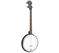 Gold Tone, Banjo de 4 cuerdas, derecho (AC-4)