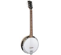 Gold Tone GT-500 6 String Banjitar
