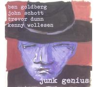 Goldberg - Junk Genius