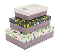 goldbuch Turnowsky Design Cactus Collection 85225 - Juego de 3 cajas de regalo en varios tamaños, 3 cajas de regalo con impresión artística, relieve dorado y relieve