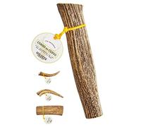 GOLDEER Cuerno de ciervo para perros 100% natural - Hueso para perro ecológico, hipoalergénico, sin gluten y con calcio para la salud dental, fabricado en Italia (L)