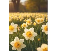 Golden Daffodil Field Journal: Hardcover Lined Notebook, Spring Floral Meadow, 300 Pages, 8.25 x 11 Glossy Cover