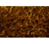 Golden Gate F-4111 - Golpeador para guitarra acústica, color marrón