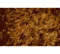 Golden Gate F-4112 - Golpeador para guitarra acústica