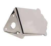 Golden Gate M-131 mandolina cordal: tradicional