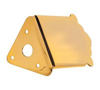 Golden Gate M-132 mandolina cordal: tradicional