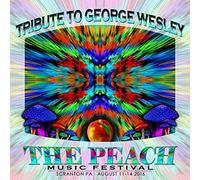 Golden Gate Wingmen - Golden Gate Wingmen / Peach Music Festival 2016