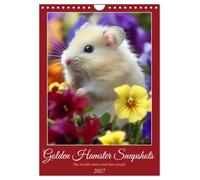 Golden Hamster Snapshots (Wall Calendar 2027 DIN A4 portrait), CALVENDO 12 Month Wall Calendar: Cute rodents, creatively staged by artificial intelligence