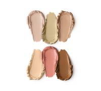 Golden Oasis All Over Face Palette 01