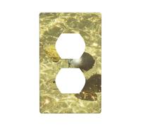 Golden Pool and A Silver Disco Ball Outlet Cover Light Switch Cover Decorativo 1 Gang Wall Plate for Kitchen Room Bathroom Size 7x11.4cm