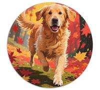 Golden Retriever 1000 Pieces Jigsaw Puzzles For Adults Family Challenge Toys Stress Relieving Entertainment Exercise The Memory of The Brain for Adults and Kids, Age 12 Years Up 1000pcs (67.5x67.5cm)