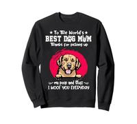Golden Retriever Best Dog Mom Dogs Lovers Funny Mothers Day Sudadera