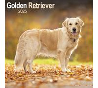 Golden Retriever Calendar 2025 Square Dog Breed Wall Calendar - 16 Month