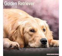 Golden Retriever Calendar 2026 Square Dog Breed Wall Calendar - 16 Month