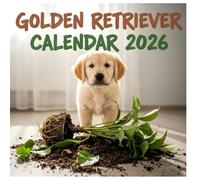 Golden Retriever Calendar 2026: Twelve Months of Outdoor Adventure, Bright Personality, and Lively Fun, 8.5 x 8.5" Golden Life Edition