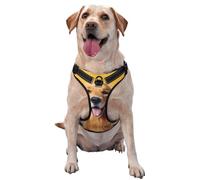 Golden Retriever - Chaleco de tracción para mascotas, estampado XL, ideal para pasear perros, senderismo, viajes diarios