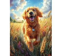 Golden Retriever Dans le Champ de blé Rompecabezas 500 Piezas Cartón para Mayores Mitos Cuento de Hadas para Ocupar Tiempo Actividad Antiestrés Decoración Mural Mejor Valorado 500 PCS