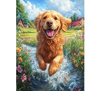 Golden Retriever Dans l'eau Puzzle 1000 Piezas Cartón Blanco Premium para Expertos Mitos Cuento de Hadas Vacaciones Fines Semana Reducir Estrés Hobby Y Ocio Garantía Satisfacción 1000 PCS