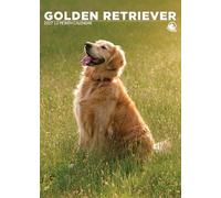 Golden Retriever Dog Calendario 2027, A3, a todo color, con espiral (CRU)