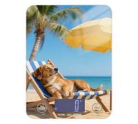 Golden Retriever Dog on The Beach Spices - Báscula de alimentos de cocina de 11 libras/1 onzas, 5 kg/5 g, bonita báscula que pesa en gramos con 4 unidades para pérdida de peso, cetogénico para hacer
