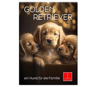 Golden Retriever - ein Hund für die Familie (Wandkalender 2026 DIN A2 hoch), CALVENDO Monatskalender: Der Golden Retriever - ein intelligenter und liebenswerter Begleiter