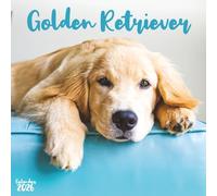 Golden Retriever Joy 2026 Calendar: 12 Months of Heartwarming Moments and Playful Charm
