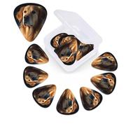 Golden Retriever - Juego de 12 púas de celuloide de diferentes grosores para guitarra con caja de almacenamiento de púas de guitarra, púa de guitarra personalizada para púas de guitarra acústica