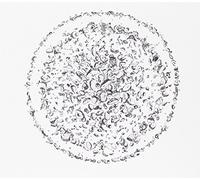 Golden Retriever - Occupied With the..