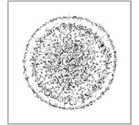 Golden Retriever - Occupied With The Unspoken [VINYL] [Vinilo]