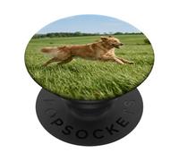 Golden Retriever Perro Corriendo Campo Abierto Soleado Escena Al PopSockets PopGrip Adhesivo